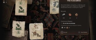 Контракт наложницы Assassin's Creed Mirage